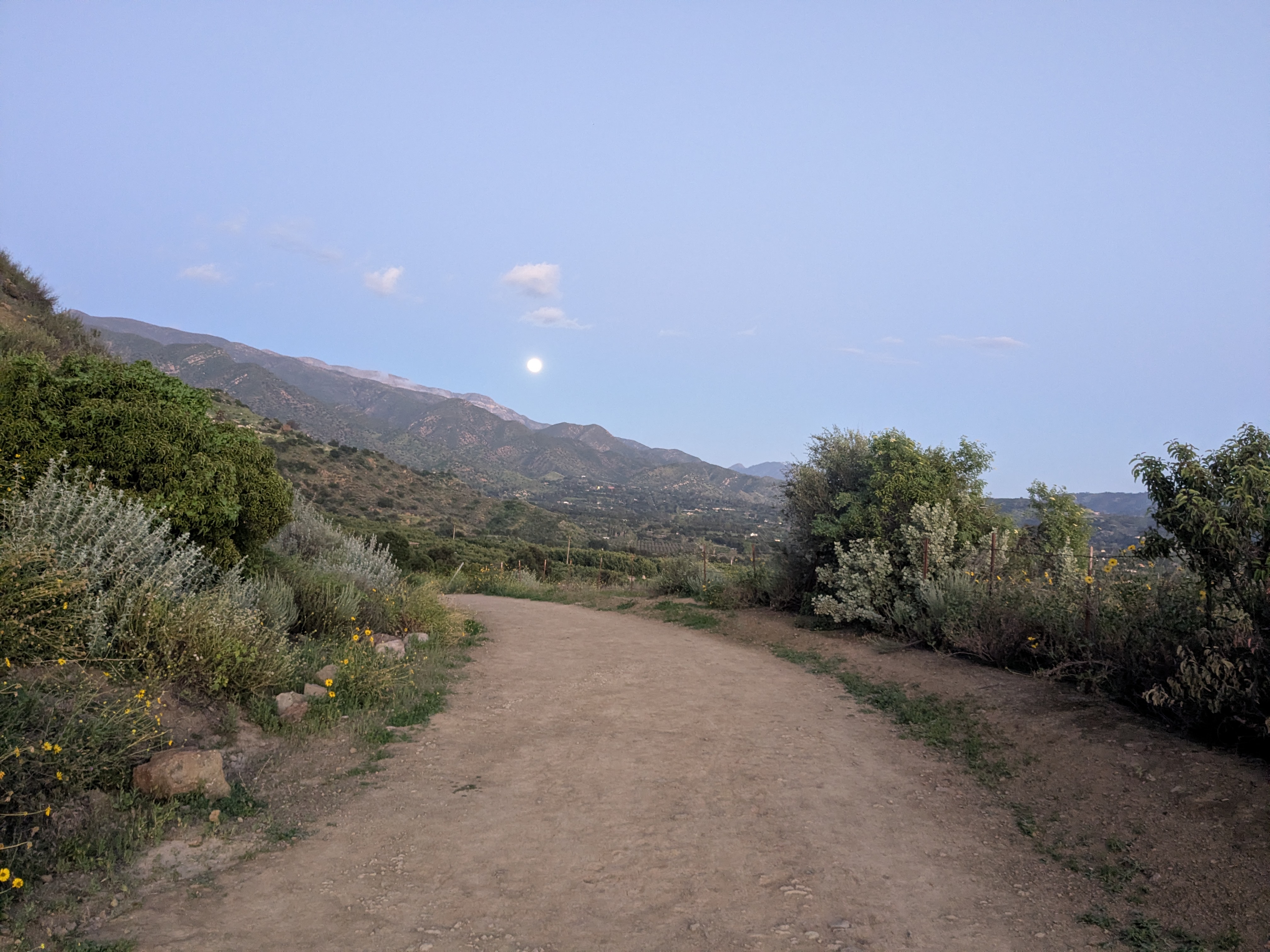 Trail with moonrise in the Ojai Valley